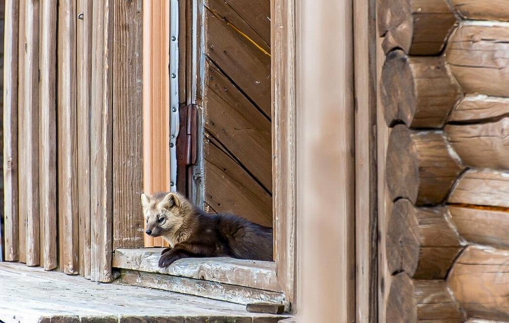техник службы охраны ФГБУ
